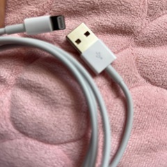 iPhoneライトニングケーブルの画像
