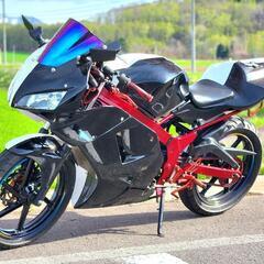 HONDA NS-1 110ccの画像