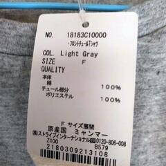 earth Tシャツの画像
