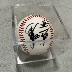 阪神岡田監督サインボールの画像