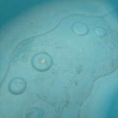 コストコ　ウォーターテーブル　水遊び　の画像