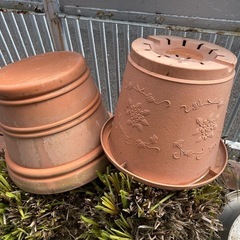 9/1.2限定‼️たくさん植木鉢の画像
