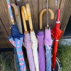 子供用ビニール傘の画像
