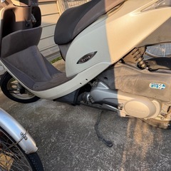 ディオ　チェスタ　50ccの画像