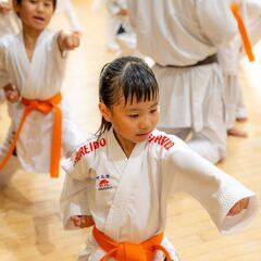 静岡市の空手道場です！地域人気NO.1の会員数！レッスンいつでも体験無料！【正剛空手スクール静岡教室】の画像