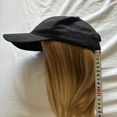 帽子付きウィッグ　の画像