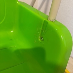 ぷーさん　室内遊具　ジャングルジム　すべり台の画像