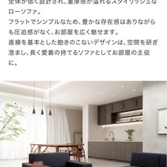 定価15万　FLANNEL SOFA 1人掛けソファ BRICK ブリックの画像