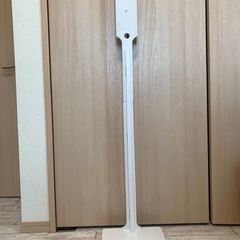 ジャンク ダイソン V7slim SV11の画像