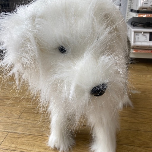 ?未使用品?スツール 座れるアニマル シープドッグ オブジェ 癒し 可愛い NH