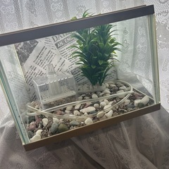 GEX金魚飼育セット🐠🫧‪の画像