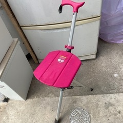 椅子にもなる杖の画像