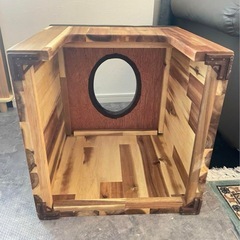 アカシアの木 よもぎ蒸し椅子木の画像