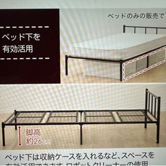 ベット➕マット 9/14朝 0円 の画像