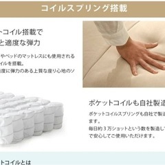 Megu様お取り置き。無料:2掛けソファーの画像