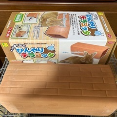 フクロモモンガゲージ（お引き取り決定しました）の画像