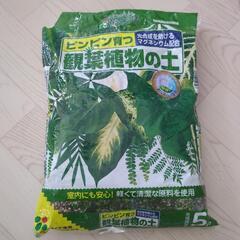 観葉植物の土の画像