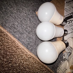 シィリングファンの画像