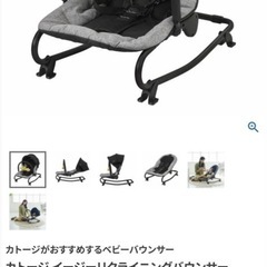 ベビーバンサー
の画像