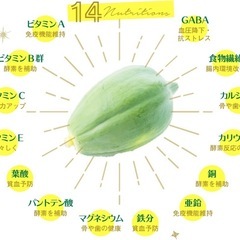 家計を応援✨の画像