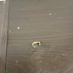 棚　食器棚　収納棚の画像