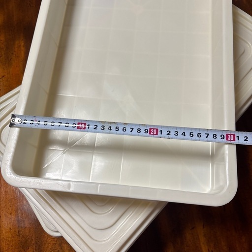 お取引終了】もろぶた餅箱フードコンテナ プラスチック (はごいた