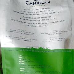 ペット用品　3点　消臭抗菌シート　サンド　使用済みの画像