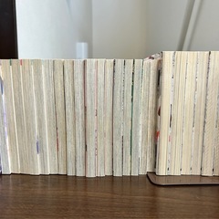※1冊 50円　先生の白い嘘1〜6巻 京都初恋心中7〜9巻 など
の画像