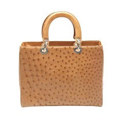 極美品 オーストリッチ ハンドバッグ トップハンドル ブラウン 南京錠 極美品 オーストリッチ ハンドバッグ トップハンドル ブラウン