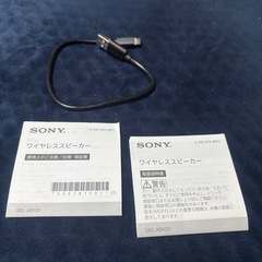 SONY XB100の画像