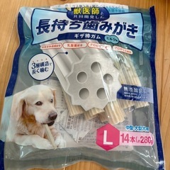 わんちゃん用グッズの画像
