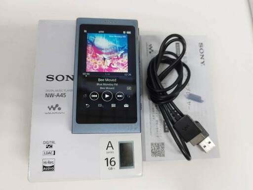 SONY ウォークマン NW-A45 16GB/ムーンリットブルー