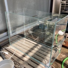 gex水槽まとめ売りの画像