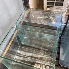 gex水槽まとめ売りの画像