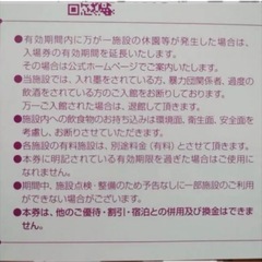 ハワイアンズ 入場券3枚の画像