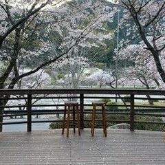 キッチンスタッフ(未経験歓迎)の画像