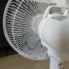 23年製山善リビング扇風機の画像