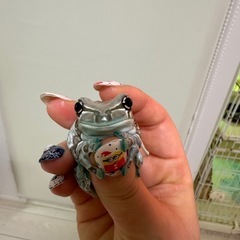 ミルキーフロッグ オタマジャクシ 10匹3000円〜の画像