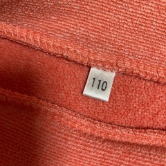 110サイズの画像