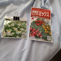 水耕栽培キット、LED植物成長ライトとスマートディスプレイの画像