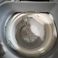 写真に写っているもの全てあげます！の画像