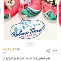新品未使用　ひんやりペットベッド　すいかの画像