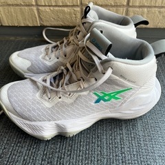 asics バスケットシューズ22.5の画像