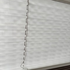【本日まで】｟美品｠プリーツスクリーン/2色/　の画像