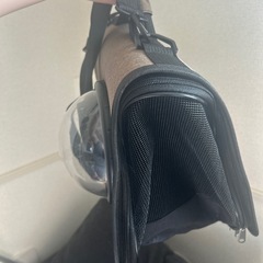 ペット バックの画像
