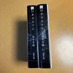 小説 カリスマ上下の画像