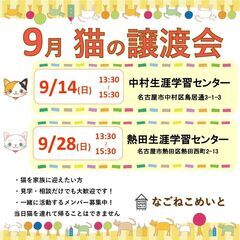 9/14、9/28 なごねこめいと　猫の譲渡会