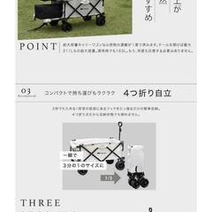 キャリーワゴンの画像