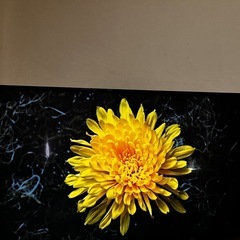 55インチ 4k 液晶テレビ LG 55UK6300PJFの画像