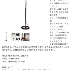 フロアライト　黒　インダストリアル
の画像